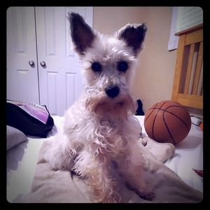 Info about products I'm listing